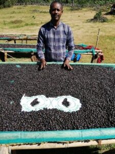 エチオピア ブク・サイーサ・コーヒー社