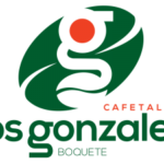 パナマ カフェタレラ ロス・ゴンザレス