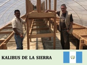 丸美珈琲店：グアテマラ カリバス・デ・ラ・シエラ カリバス