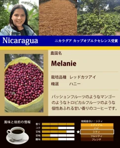 加藤珈琲店:ニカラグア メラニー ニカラグア カップ・オブ・エクセレンス 2021年 11位