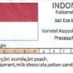 豆ポレポレ:インドネシア バリ島 エコ・バイク・コーヒー インドネシア カップ・オブ・エクセレンス 2021年 ナショナル・ウィナー