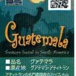 ヒロコーヒー:グアテマラ セイラン農園