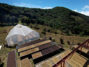 丸美珈琲店:コスタリカ サンタ・テレサ農園 ルワンダ レッドハニー エクスクルーシブ・コーヒーズ 2022 EEVC24