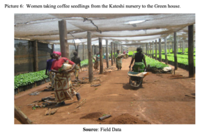 ザンビアのコーヒーの歴史（４）：北部州におけるコーヒー栽培が、カテシとンゴリ農園の地元コミュニティと周辺地域に与える社会・経済的影響について