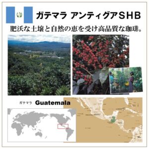 珈房サッポロ珈琲館:グアテマラ アンティグア SHB