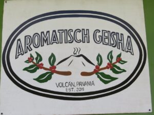 パナマ アロマティッシュ・ゲイシャ