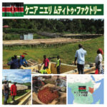 珈房サッポロ珈琲館:ケニア ニエリ ムティトゥ・ファクトリー