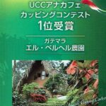 UCCカフェメルカード:ガテマラ エル・ベルへル農園 UCC アナカフェ カッピング・コンテスト 2022年 第1位