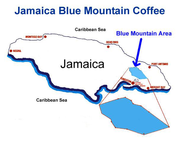 ジャマイカのコーヒー生産地域とその特徴：ブルーマウンテン・コーヒーとブルーマウンテン・エリア