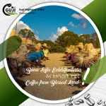 オロモ解放戦線とグジ・ハイランド・コーヒー・プランテーション社