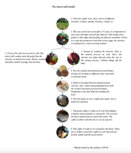 コスタリカ マイクロミル革命の経済的・社会的影響