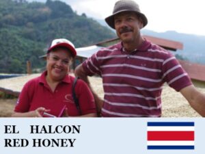 丸美珈琲店：コスタリカ アルコン農園 レッドハニー