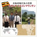 珈房サッポロ珈琲館：ウガンダ エルゴンマウンテン