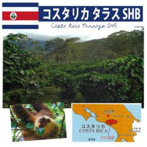 珈房サッポロ珈琲館：コスタリカ タラス SHB プレミアムグレード