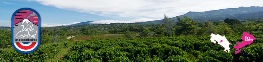 コスタリカのコーヒー生産地域とその特徴：セントラル・バレー