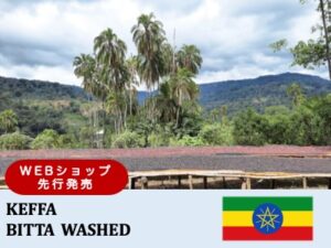 丸美珈琲店：エチオピア ビッタ ウォッシュト