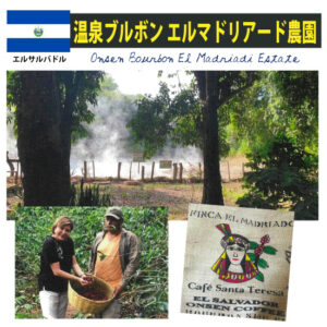 珈房サッポロ珈琲館：エルサルバドル エル・マドリアード農園 温泉ブルボン