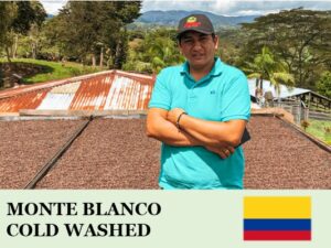 丸美珈琲店：コロンビア モンテブランコ農園 ピンク・ブルボン コールド・ウォッシュト