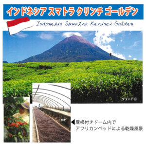珈房サッポロ珈琲館：インドネシア スマトラ クリンチゴールデン