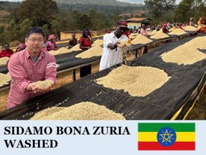 丸美珈琲店:エチオピア ボナ ズリア ウォッシュト