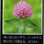 珈房サッポロ珈琲館:赤詰草ブレンド