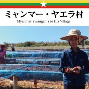 珈房サッポロ珈琲館:ミャンマー ヤエラ村