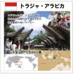 珈房サッポロ珈琲館:トラジャ アラビカ