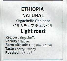 レイン コーヒー ロースタリー：エチオピア イルガチェフ チェルベサ ナチュラル
