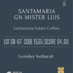 Definitive.：パナマ サンタマリア ゲイシャ ナチュラル ミスター・ルイス ベスト・オブ・パナマ 2023年 ゲイシャ ナチュラル部門 第7位（サンプル）