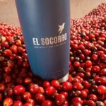 グアテマラ エル・ソコーロ農園