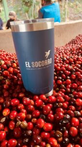 グアテマラ エル・ソコーロ農園