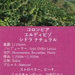 ウニール：コロンビア エルディビゾ シドラ ラクティック・ナチュラル