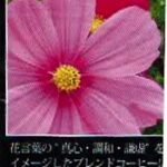 珈房サッポロ珈琲館:秋桜ブレンド