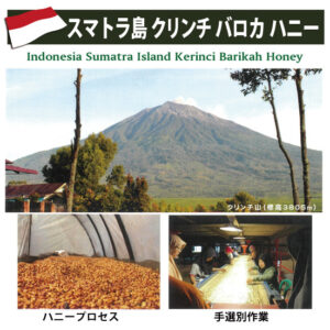 珈房サッポロ珈琲館:インドネシア スマトラ島 クリンチ バロカ ハニー