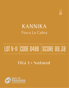 Definitive.:パナマ フィンカ ラ・カブラ カンニカ ベスト・オブ・パナマ 2023年 バラエタルス部門 第11位(サンプル)