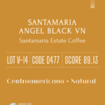 Definitive.:パナマ サンタマリア エンジェル ブラック VN ベスト・オブ・パナマ 2023年 バラエタルス部門 第14位(サンプル)