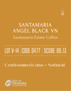 Definitive.：パナマ サンタマリア エンジェル ブラック VN ベスト・オブ・パナマ 2023年 バラエタルス部門 第14位（サンプル）