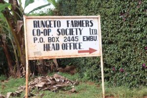 ケニア ルンゲト生産者協同組合