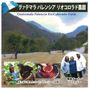 珈房サッポロ珈琲館:グアテマラ パレンシア リオコロラド農園