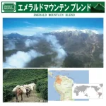 珈房サッポロ珈琲館:エメラルドマウンテンブレンド