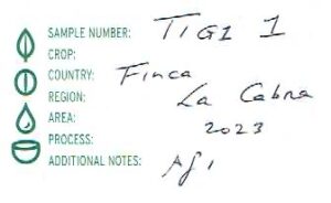 Definitive.：パナマ フィンカ ラ・カブラ TIGi 1