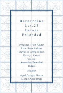 Definitive.：パナマ ベルナルディナ ロット23 カツアイ アネロビック・ナチュラル