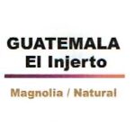 クラクション コーヒーロースターズ:グアテマラ エル・インヘルト農園 マグノリア ナチュラル