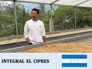 丸美珈琲店:ホンジュラス インテグラル シプレス