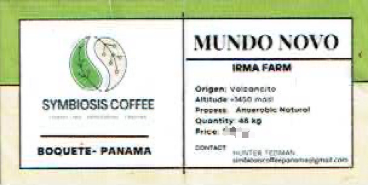 Definitive.：パナマ シンバイオシス・コーヒー イルマ ムンドノーボ