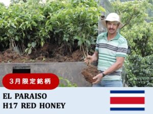 丸美珈琲店：コスタリカ パライソ農園 H17 レッドハニー