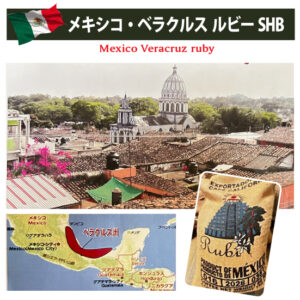 珈房サッポロ珈琲館：メキシコ ベラクルス ルビー SHG