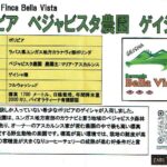カフェ ランバン:ボリビア べジャビスタ農園 ゲイシャ