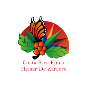 コスタリカ ベネフィシオ エルサル・デ・サルセロ