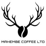 ルワンダ マヘンべ・コーヒー